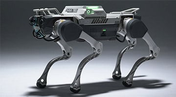 DEEP Robotics