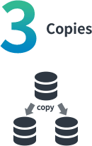 3 Copies